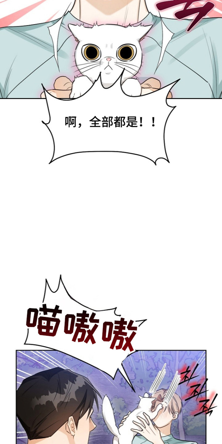 恋爱脑大作战漫画-图19