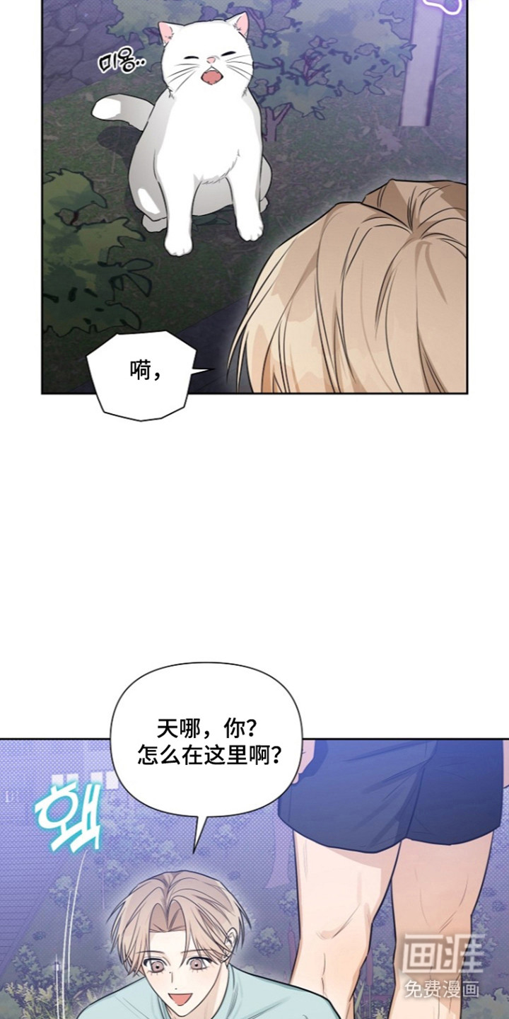 恋爱脑大作战漫画-图4