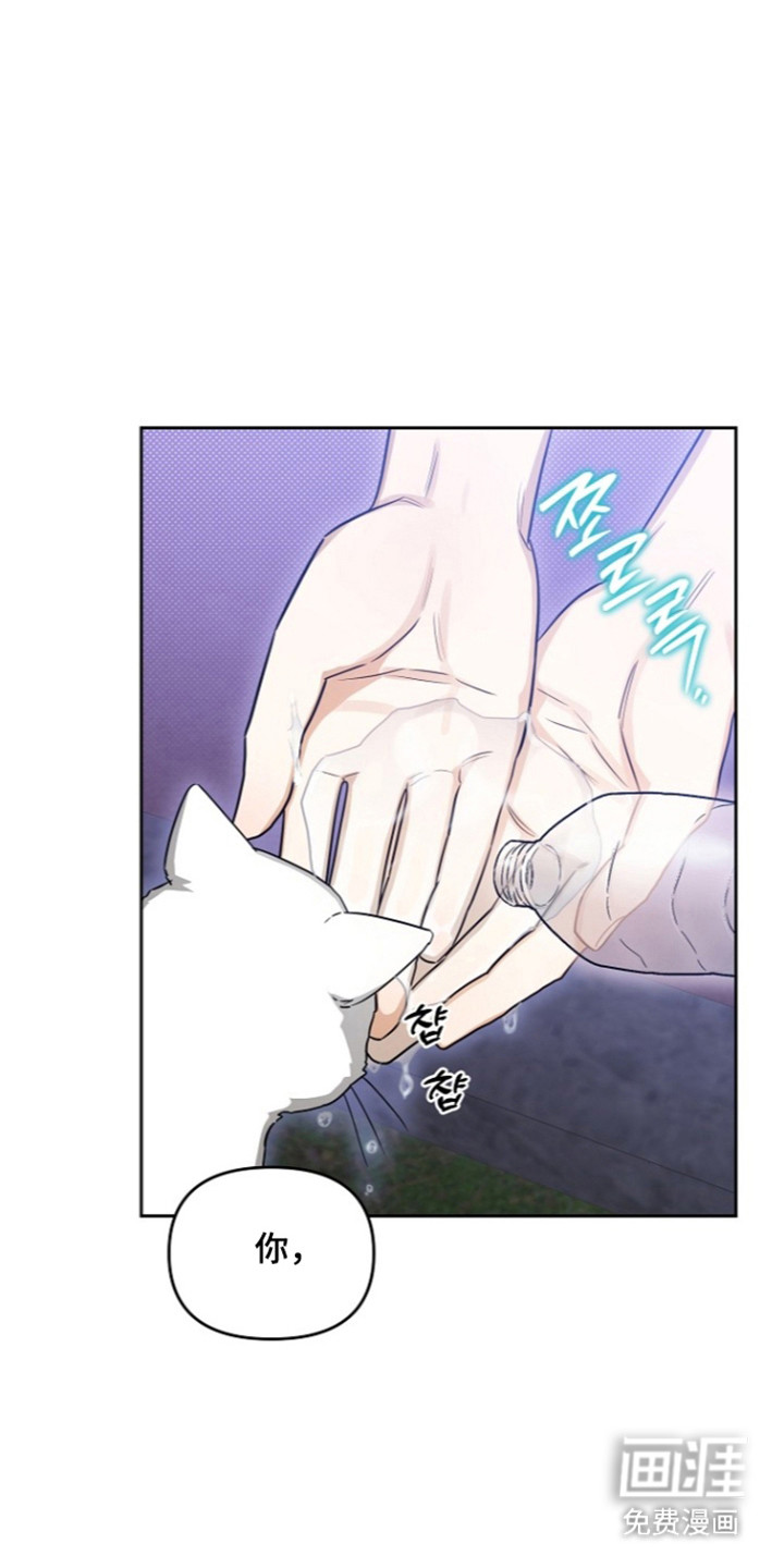 恋爱脑大作战漫画-图8