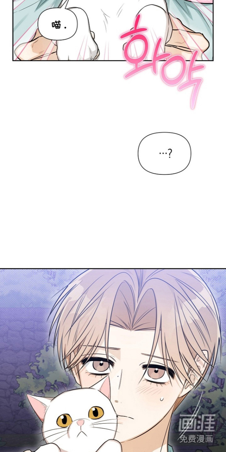 恋爱脑大作战漫画-图17