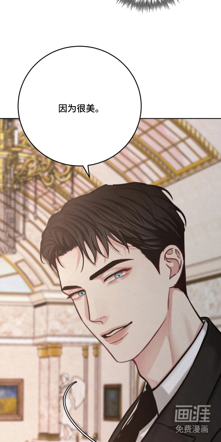 笼中舞漫画-图1