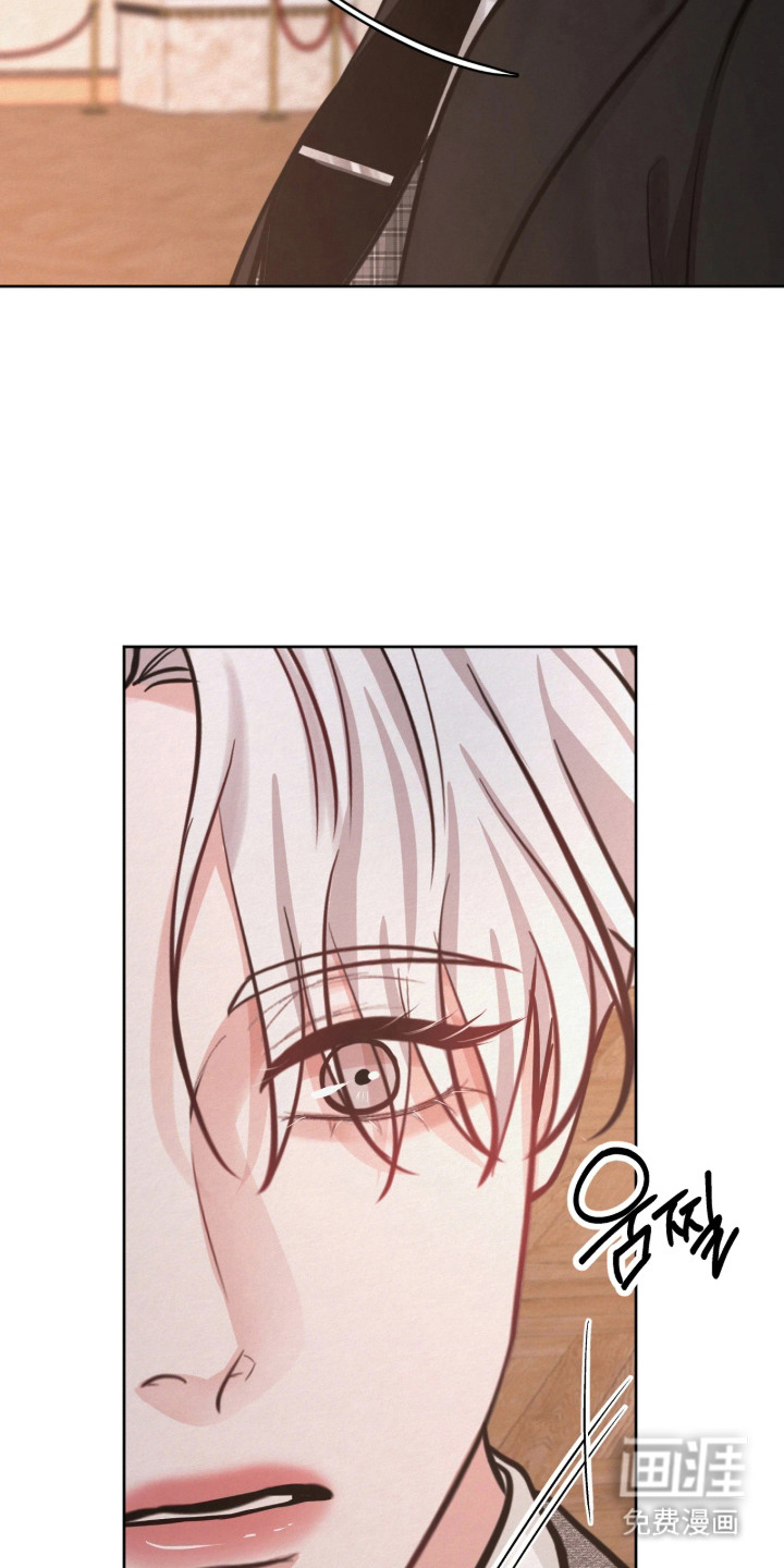 笼中舞漫画-图2