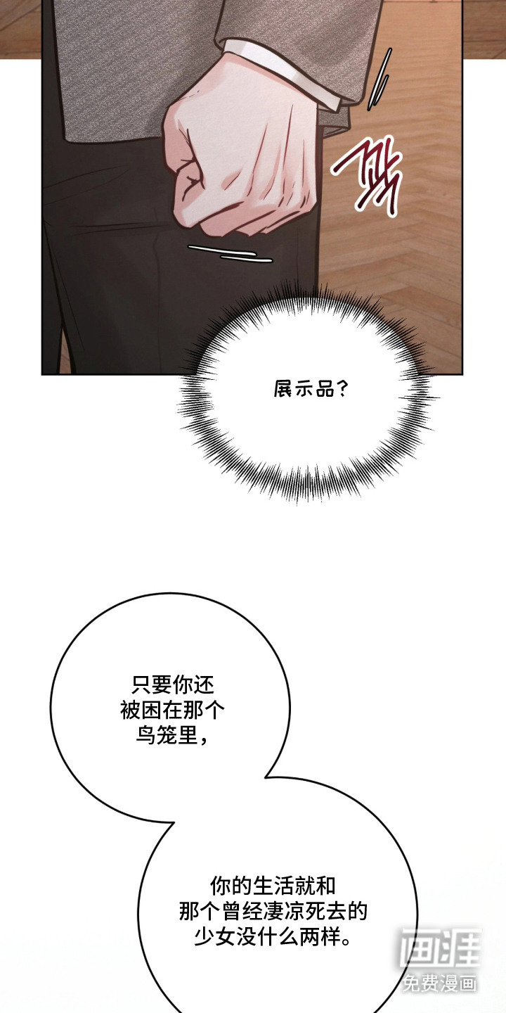 笼中舞漫画-图16