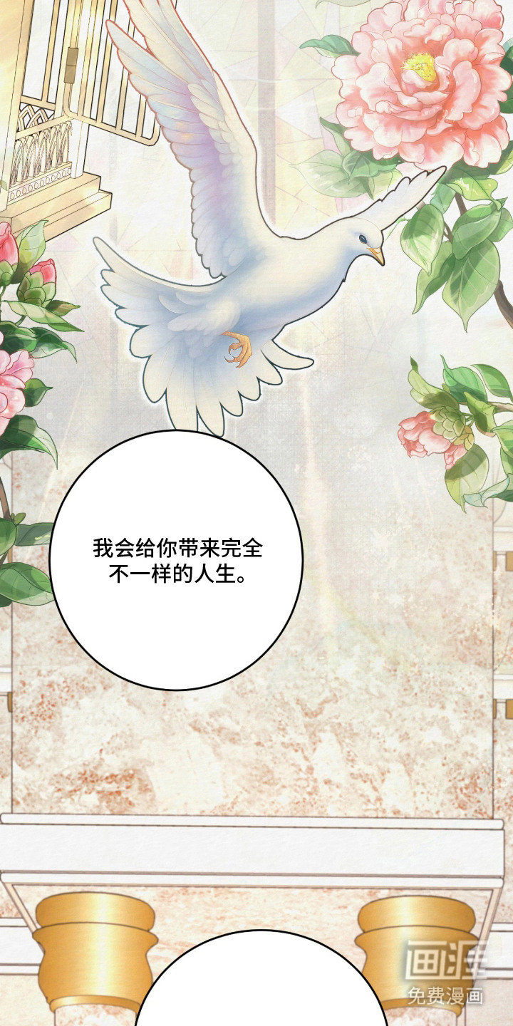 笼中舞漫画-图18