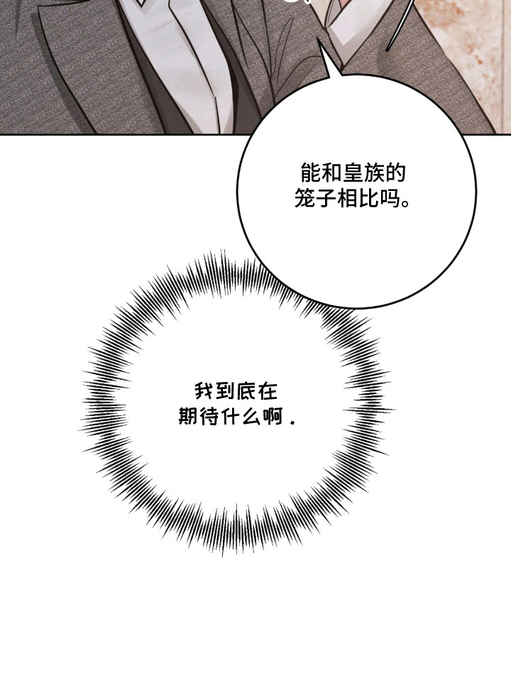 笼中舞漫画-图23