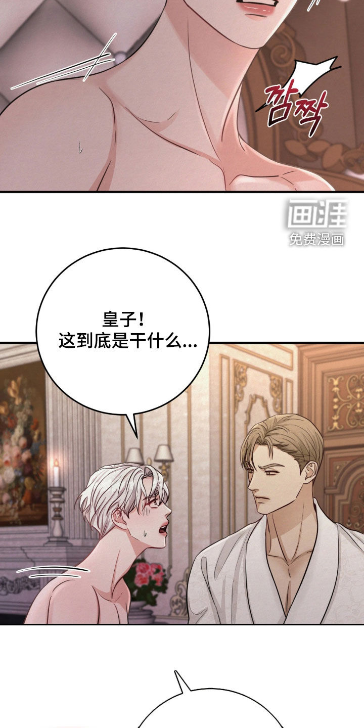 笼中舞漫画-图12