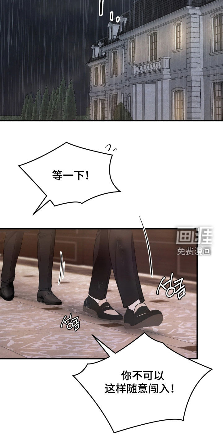 笼中舞漫画-图25
