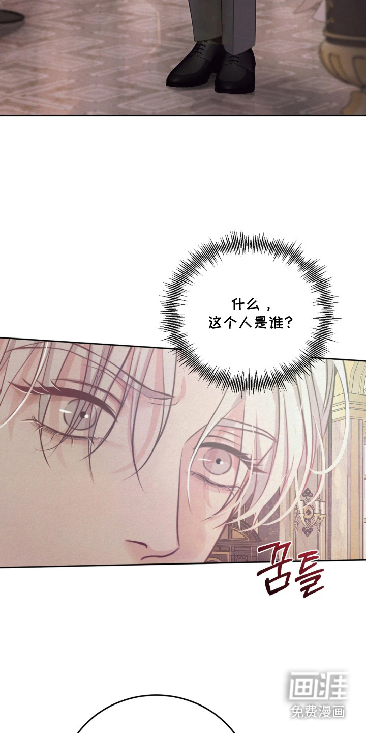 笼中舞漫画-图12