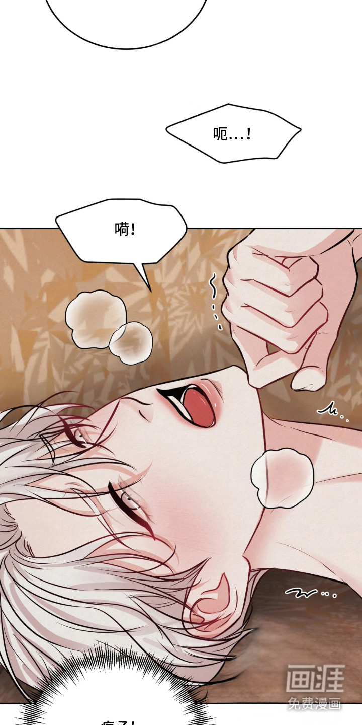 笼中舞漫画-图7