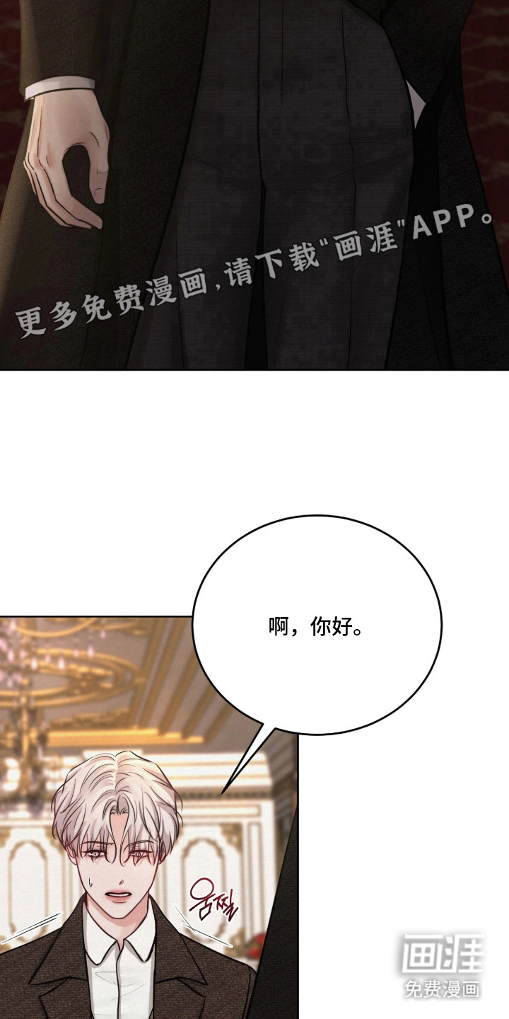 笼中舞漫画-图13