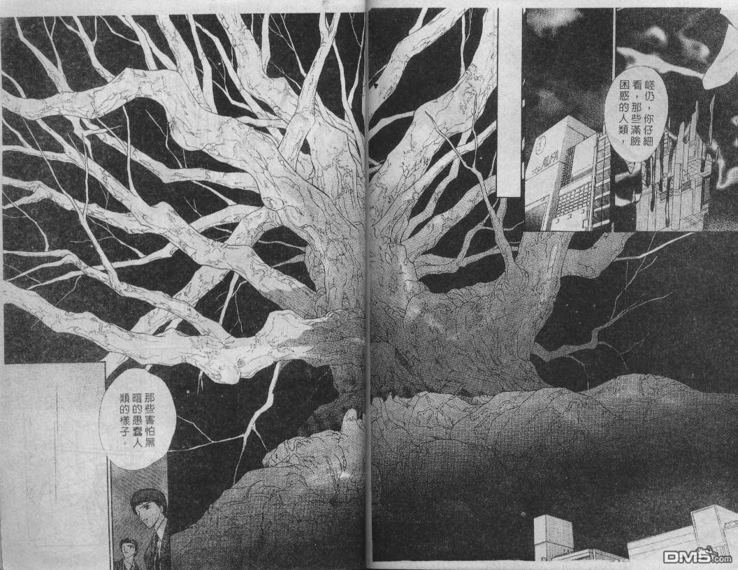 螺旋前世缘第8卷图