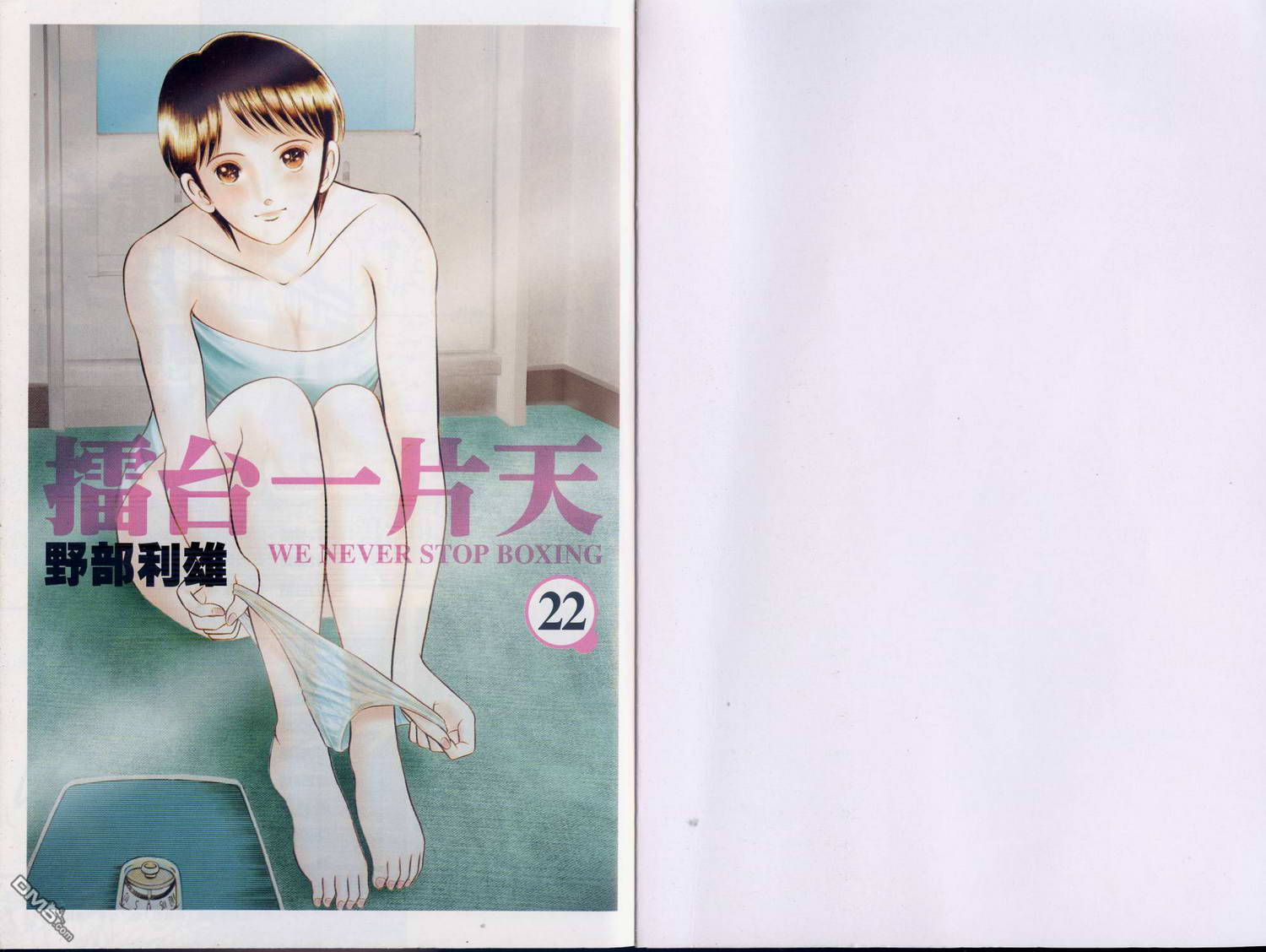 击情的天空 第22卷 第2页