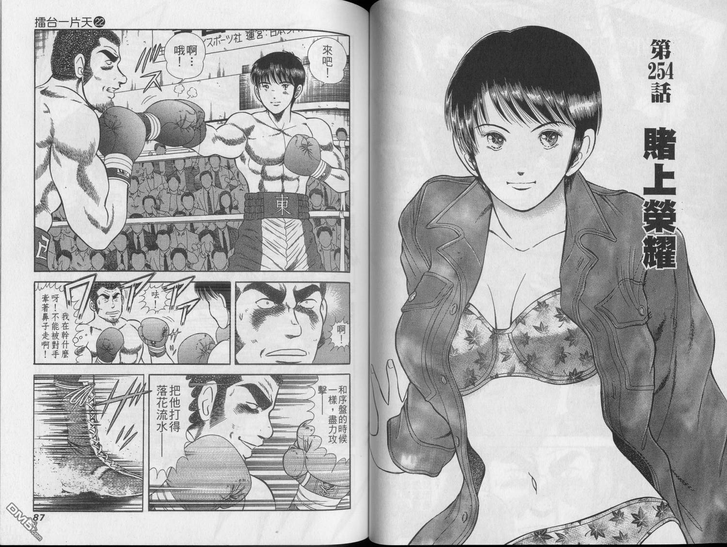 击情的天空 第22卷 第45页