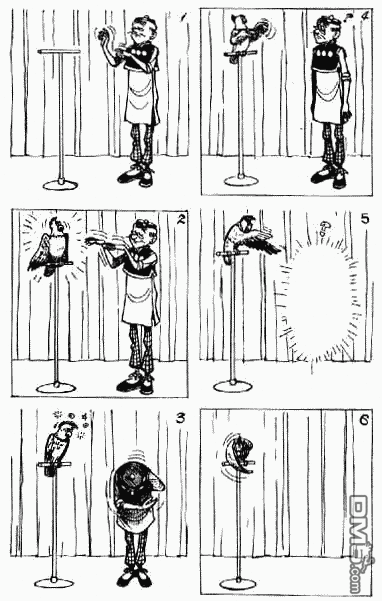 老夫子 第9卷 第126页