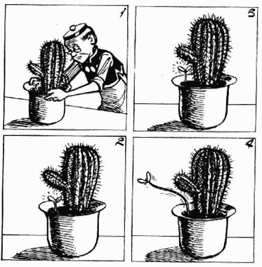 老夫子 第5卷 第53页