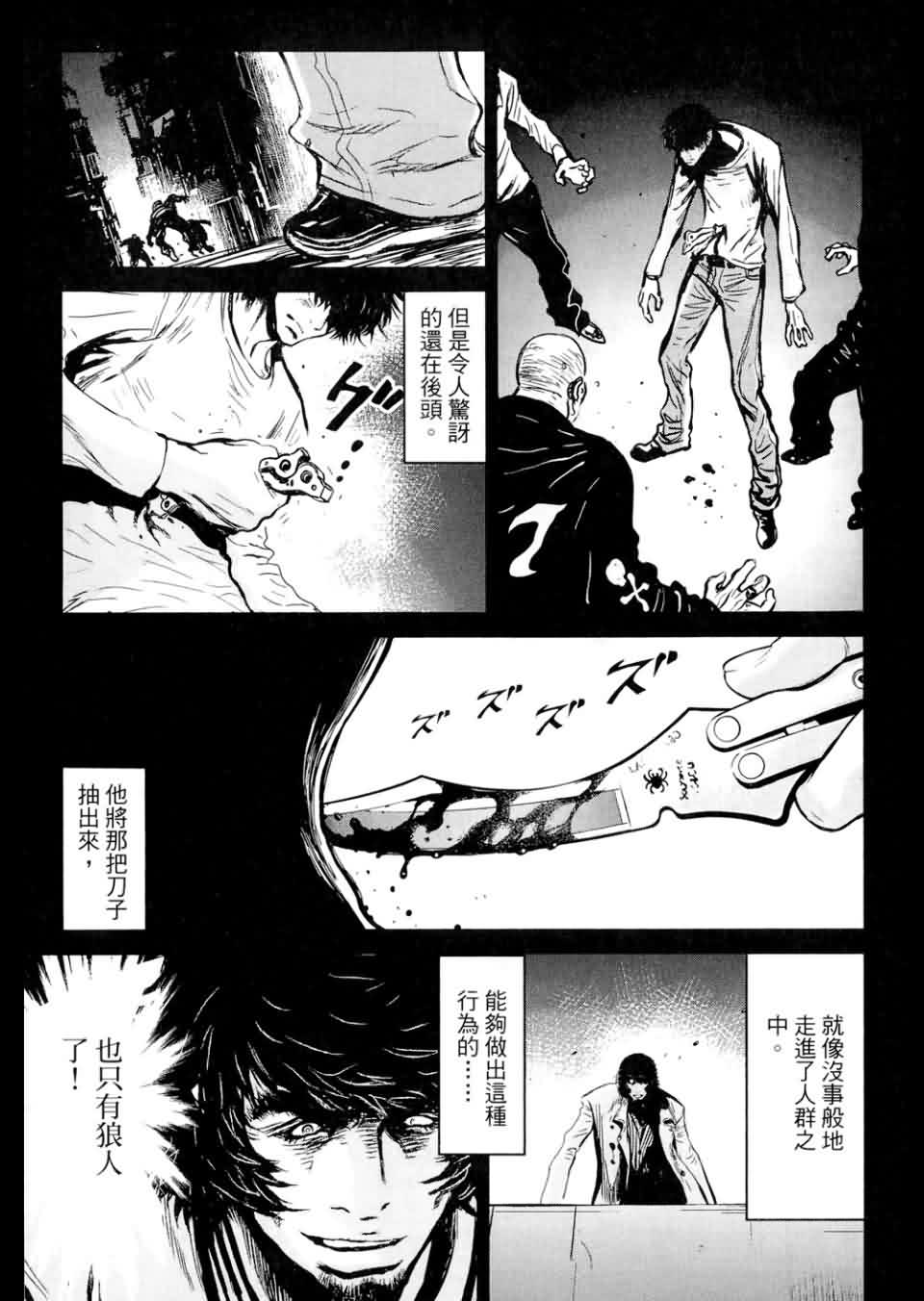 狼的纹章第9卷图