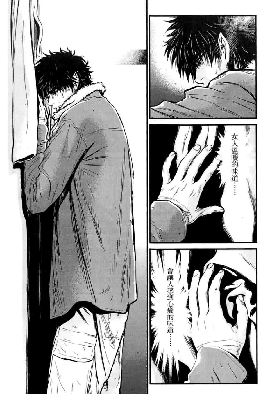 狼的纹章第9卷图