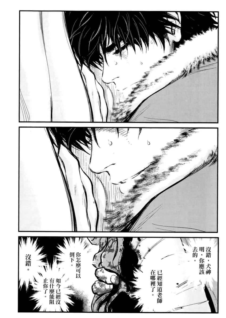 狼的纹章第9卷图