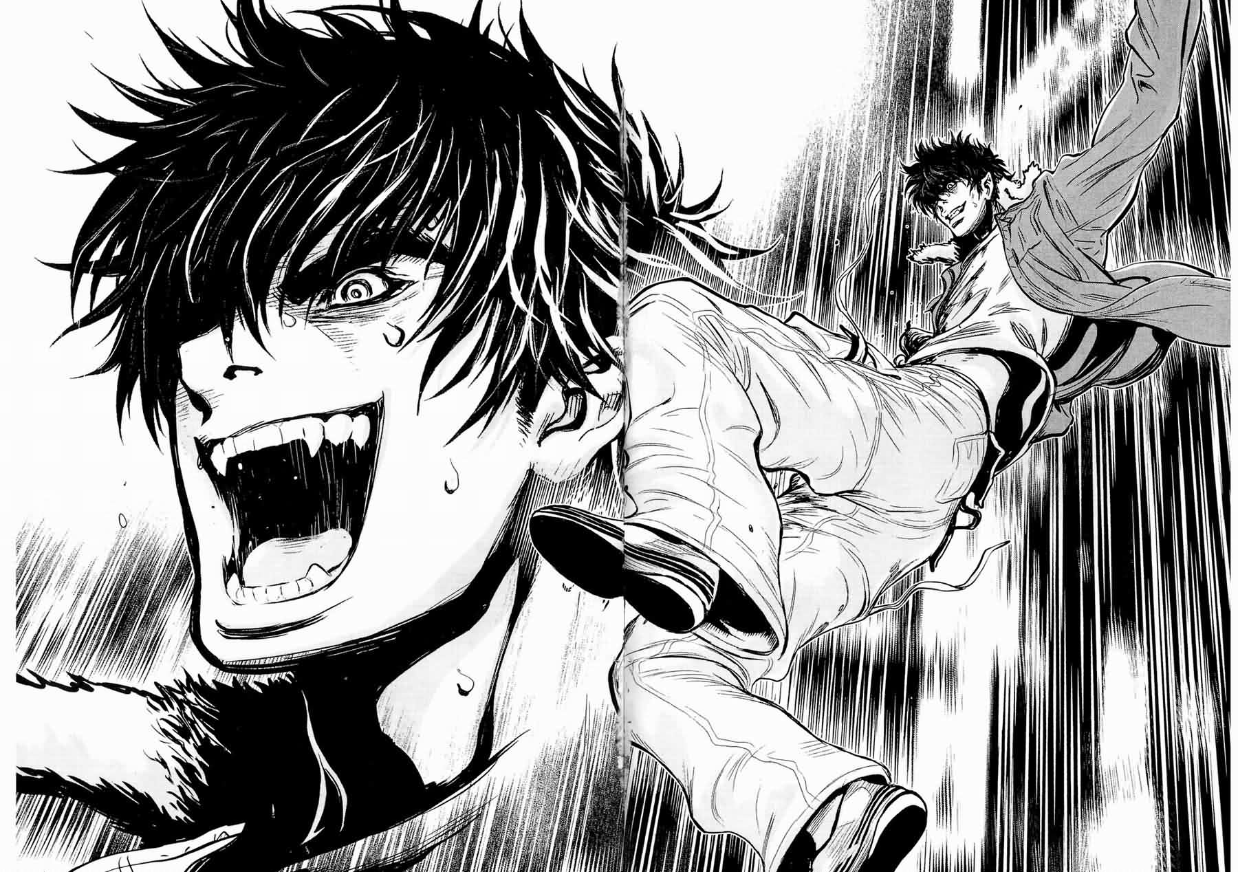 狼的纹章第9卷图