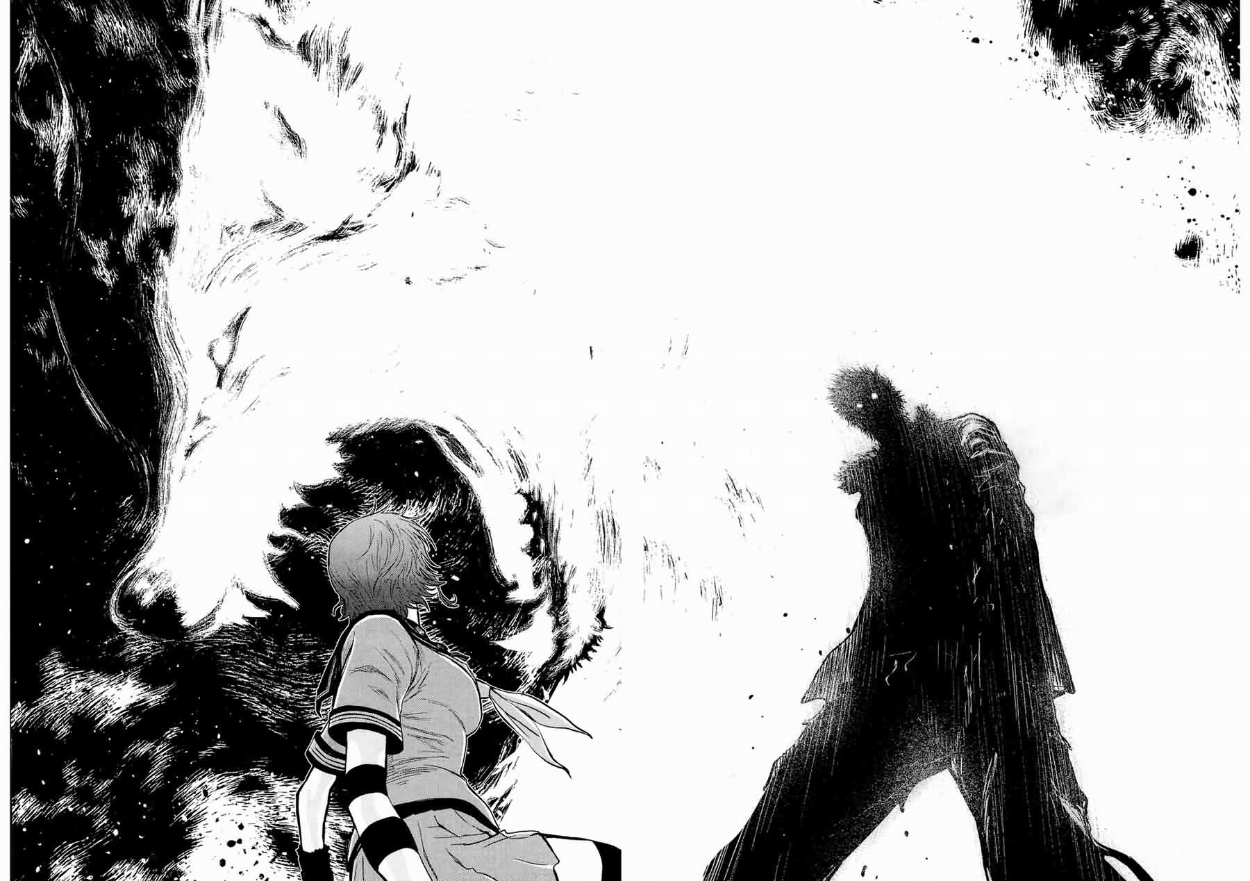 狼的纹章第9卷图