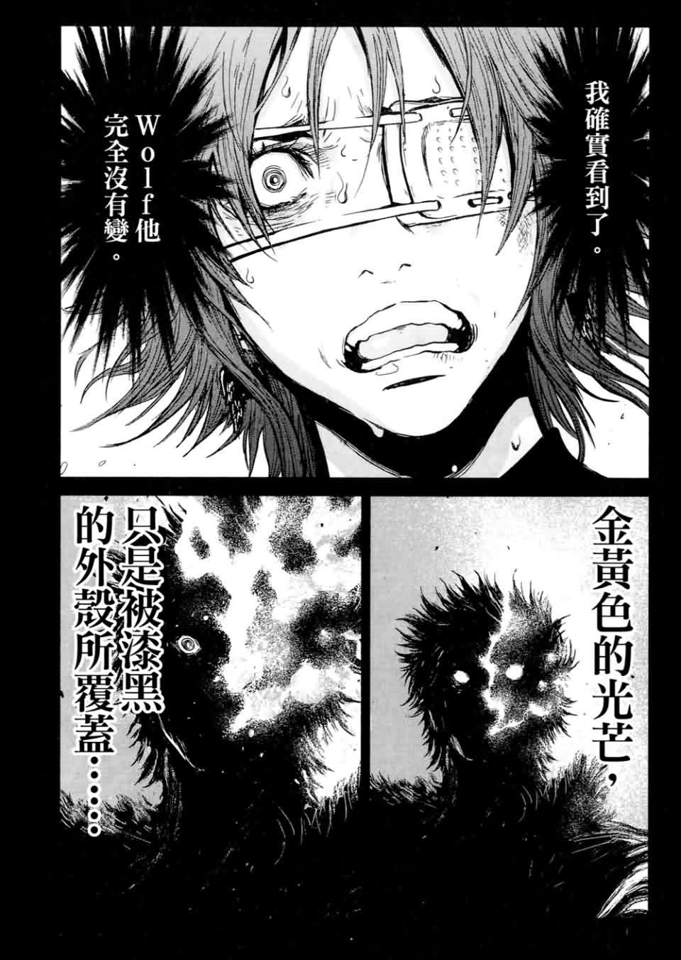 狼的纹章第9卷图