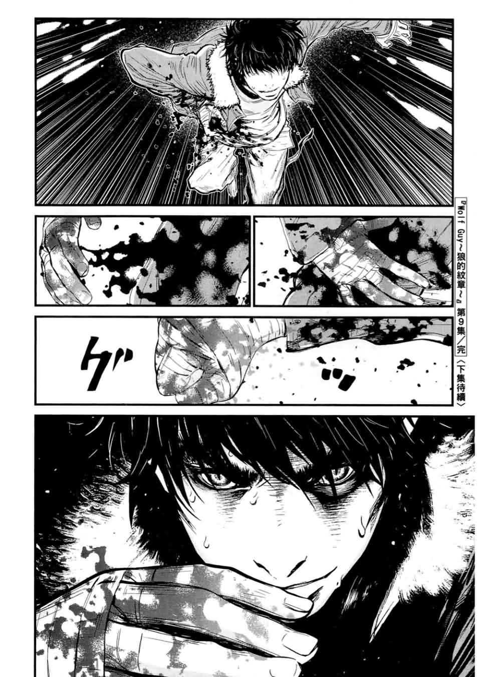 狼的纹章第9卷图