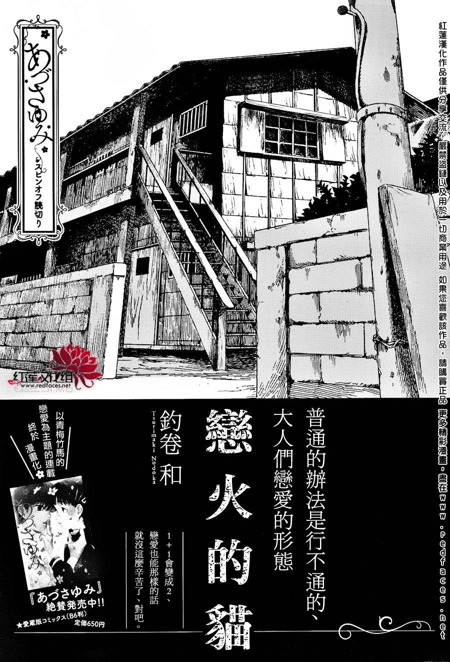 恋火的猫全1话图