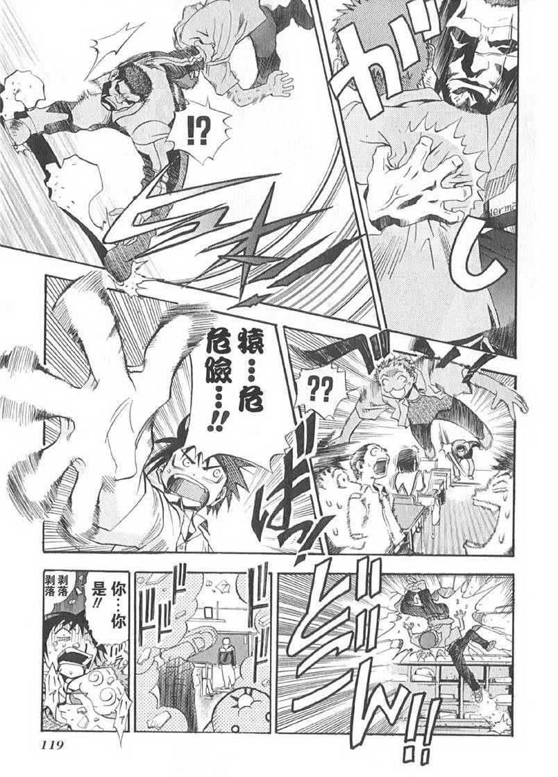 濑户的花嫁第2卷图