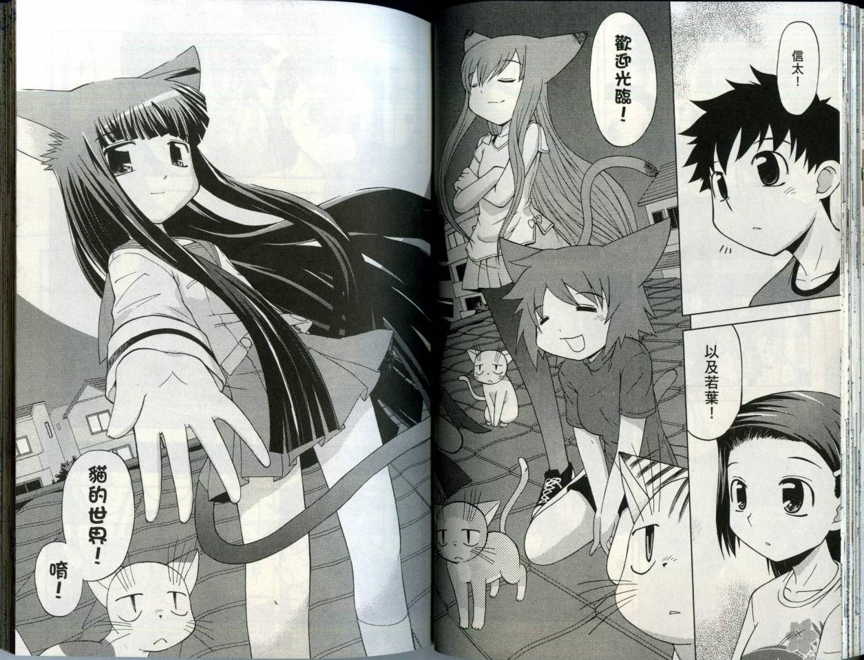 恋猫 第5卷 第41页
