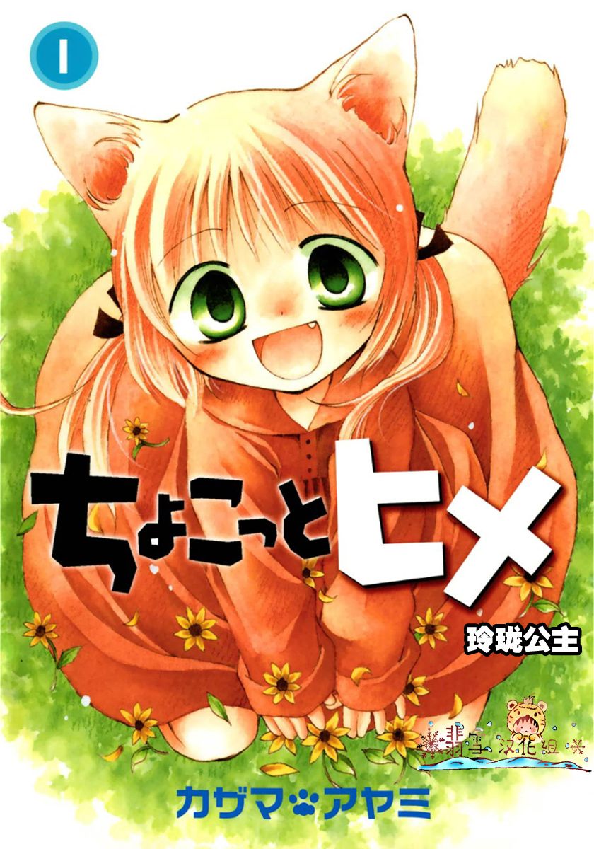 玲珑公主第1卷图