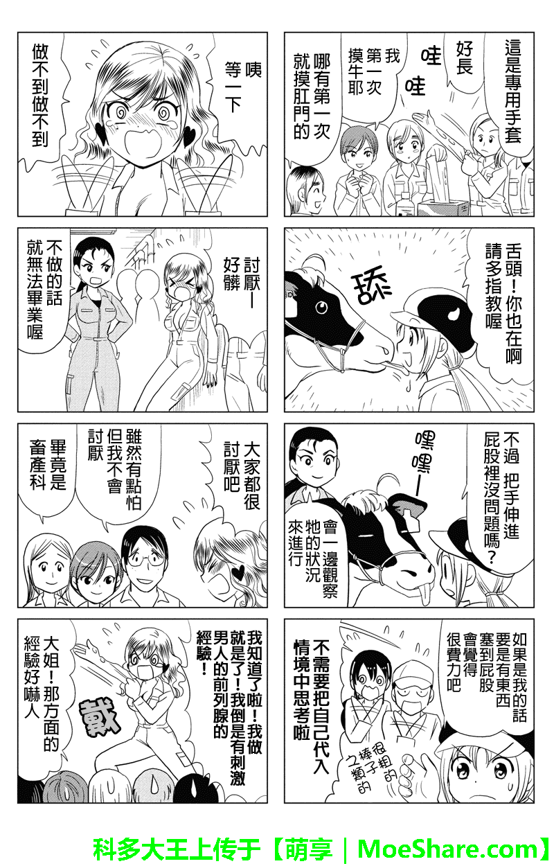 酪农牛奶第44话图