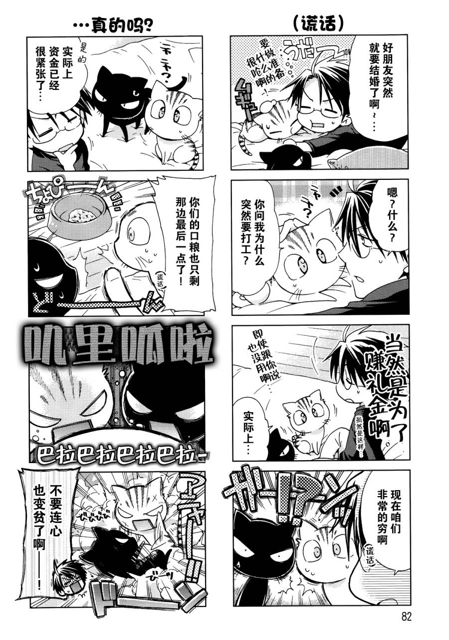 芦屋的猫第11话图