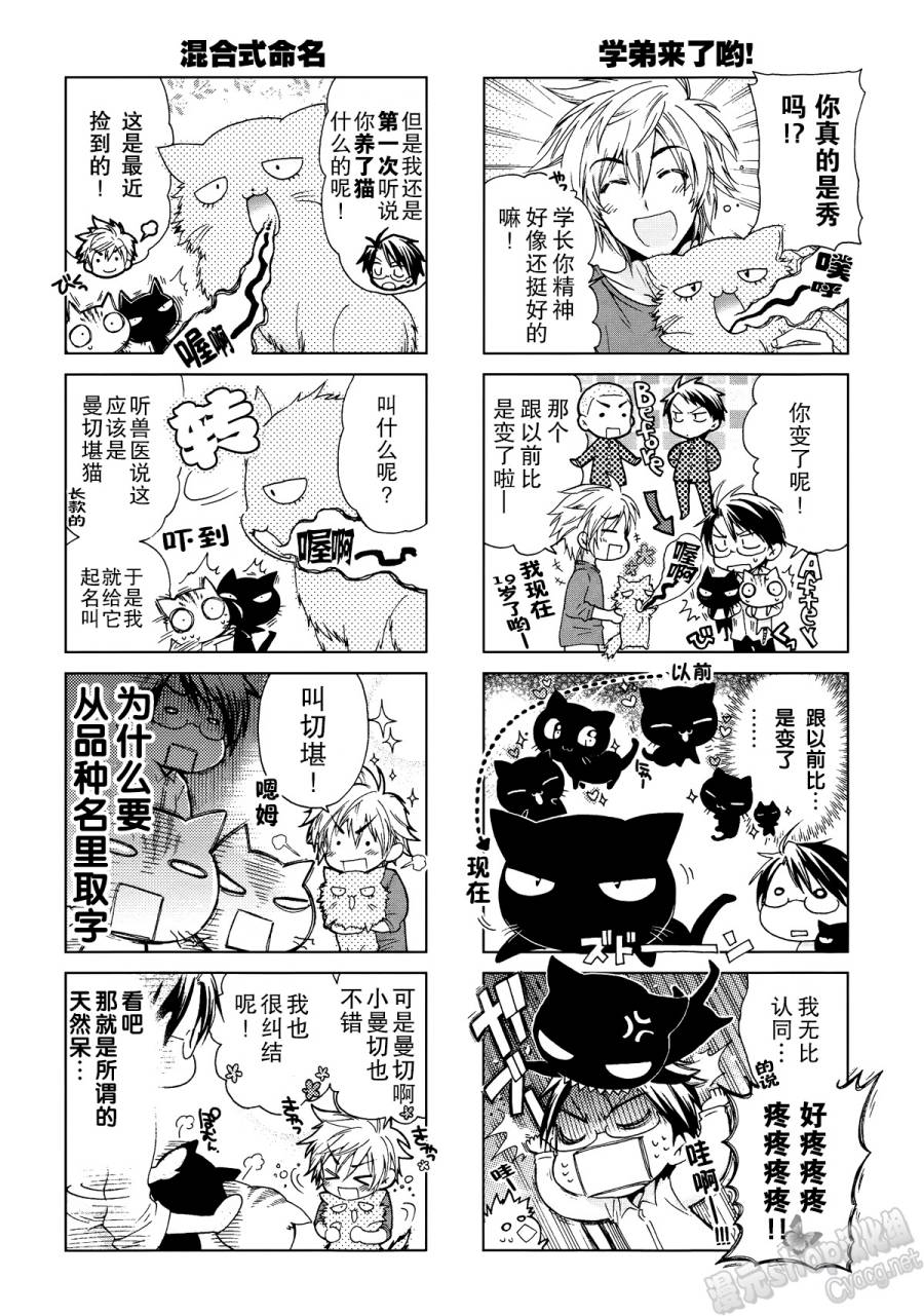 芦屋的猫第6话图