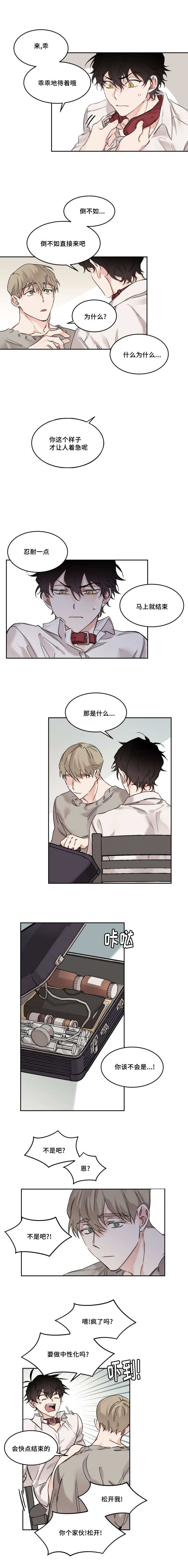 猫的项圈第10话图