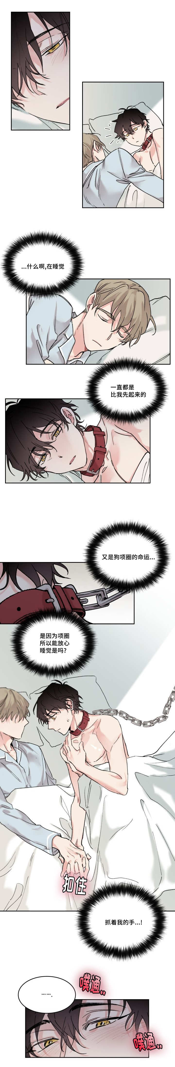 猫的项圈第12话图