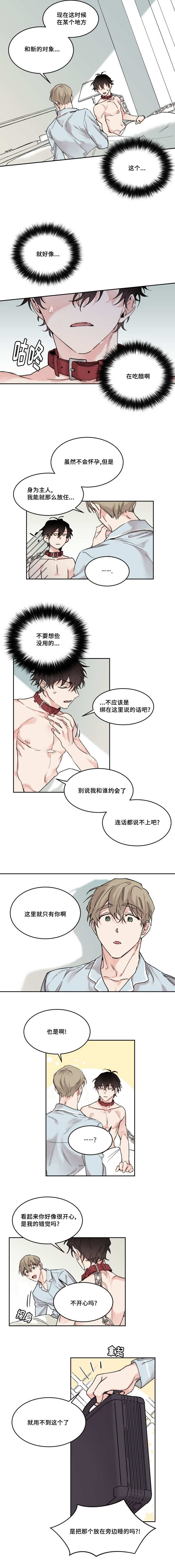 猫的项圈第12话图