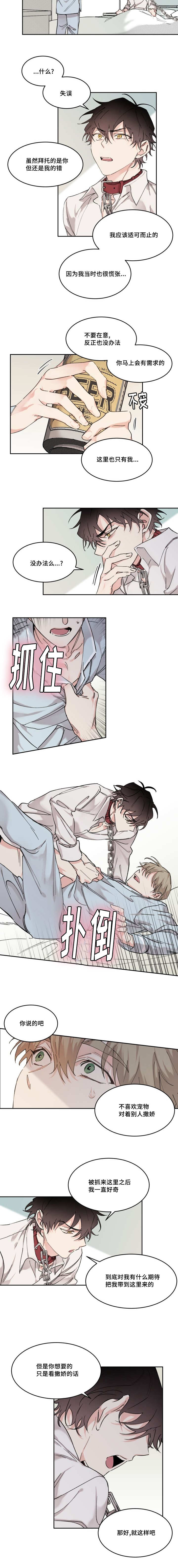 猫的项圈第14话图