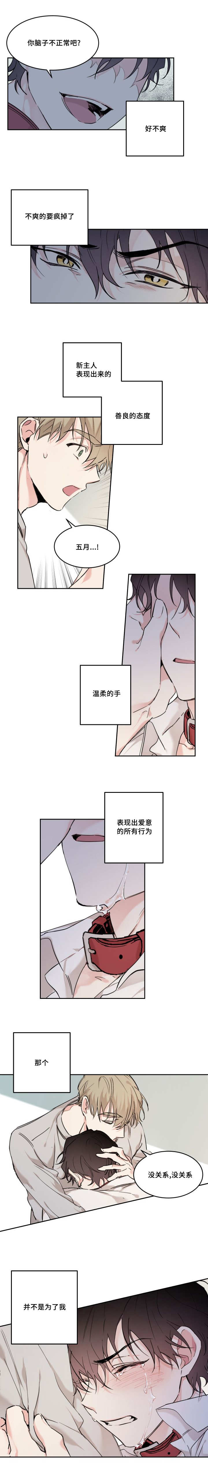 猫的项圈第18话图