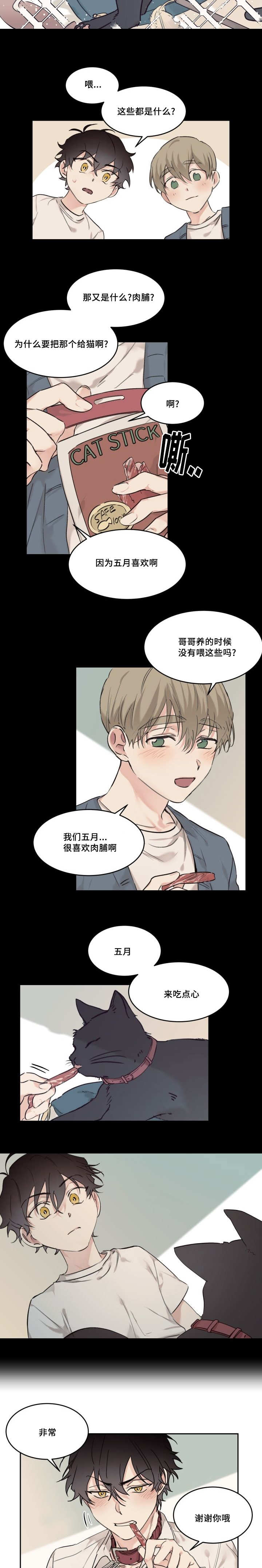 猫的项圈第19话图