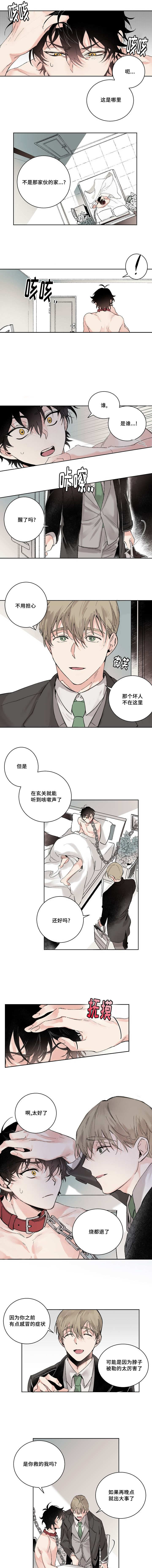 猫的项圈第2话图