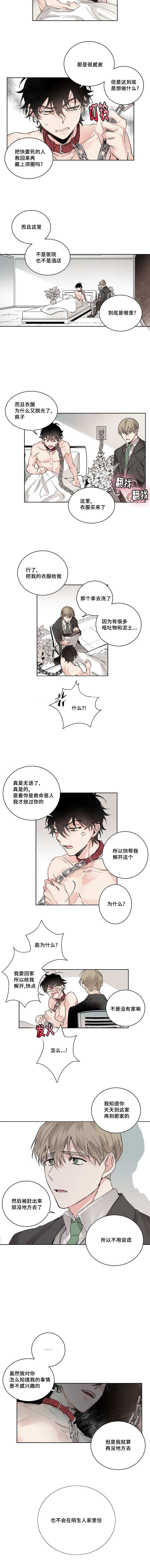 猫的项圈第2话图