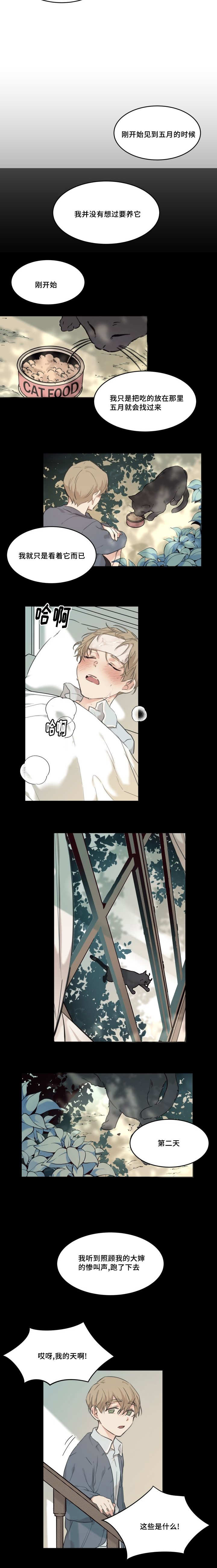 猫的项圈第20话图
