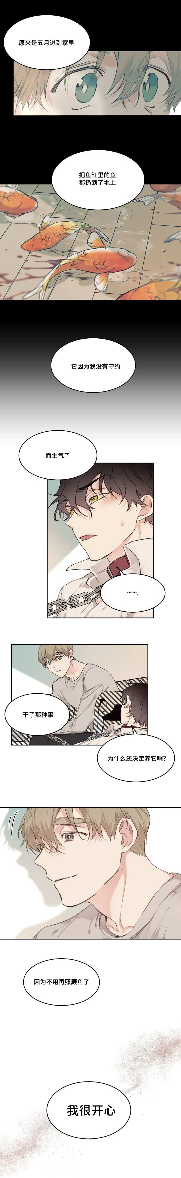 猫的项圈第20话图