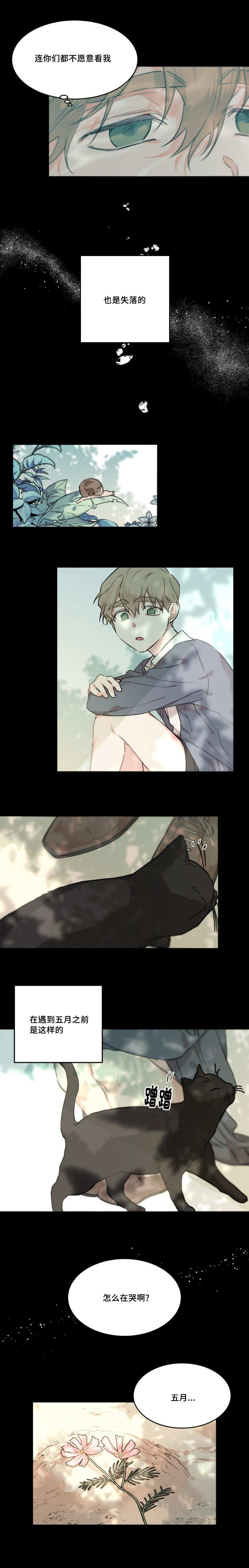 猫的项圈第21话图