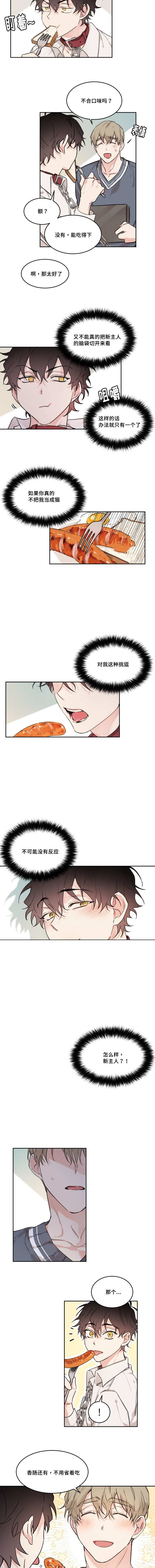 猫的项圈第23话图