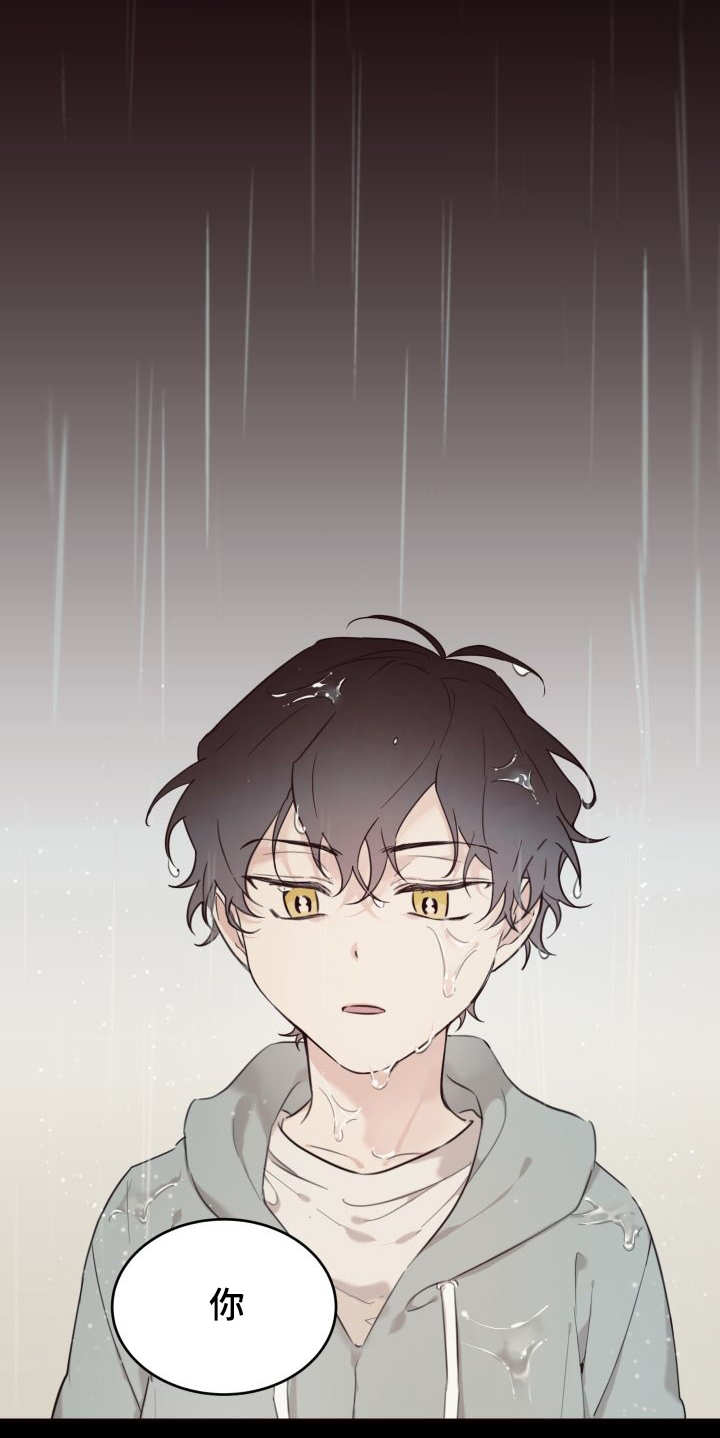 猫的项圈第24话图