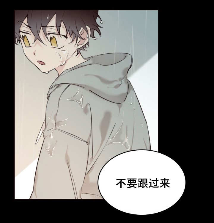 猫的项圈第24话图