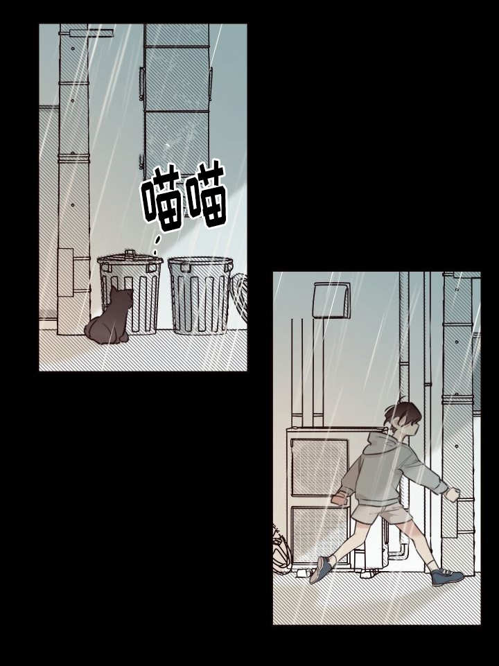 猫的项圈第24话图