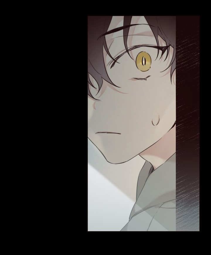 猫的项圈第24话图