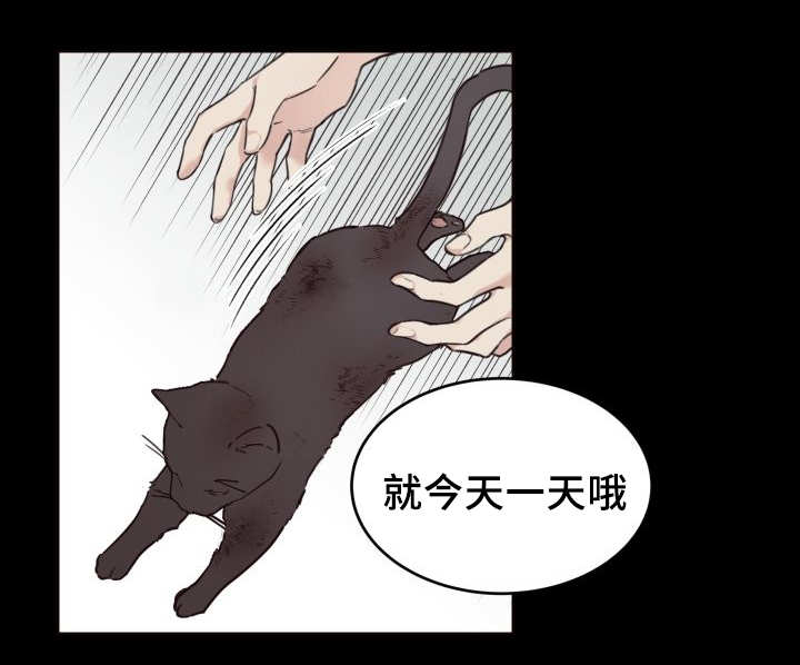 猫的项圈第24话图